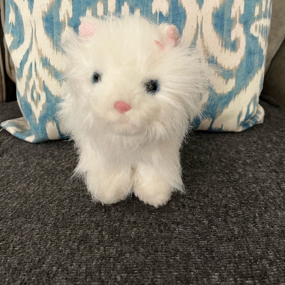 Webkinz